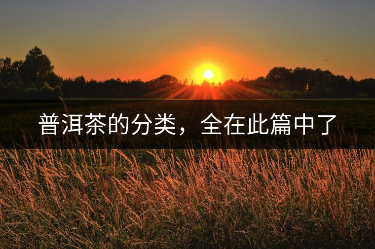 普洱茶的分類，全在此篇中了