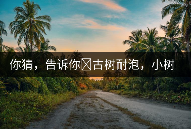 你猜，告訴你?古樹耐泡，小樹、臺(tái)地不耐泡都是什么心理？