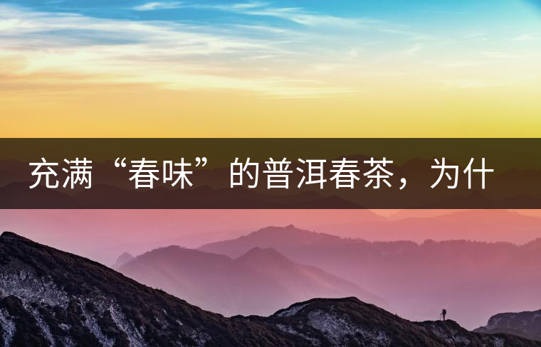 充滿“春味”的普洱春茶，為什么值得期待？