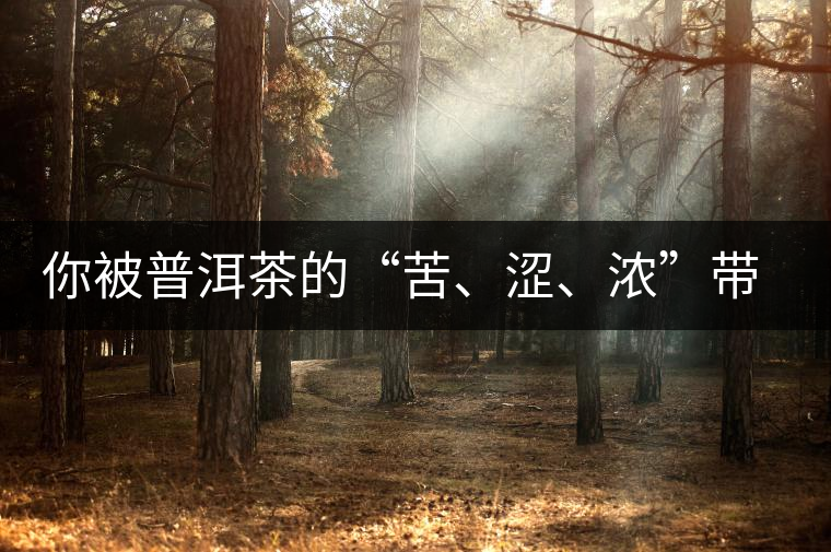 你被普洱茶的“苦、澀、濃”帶入“歧途”了嗎？