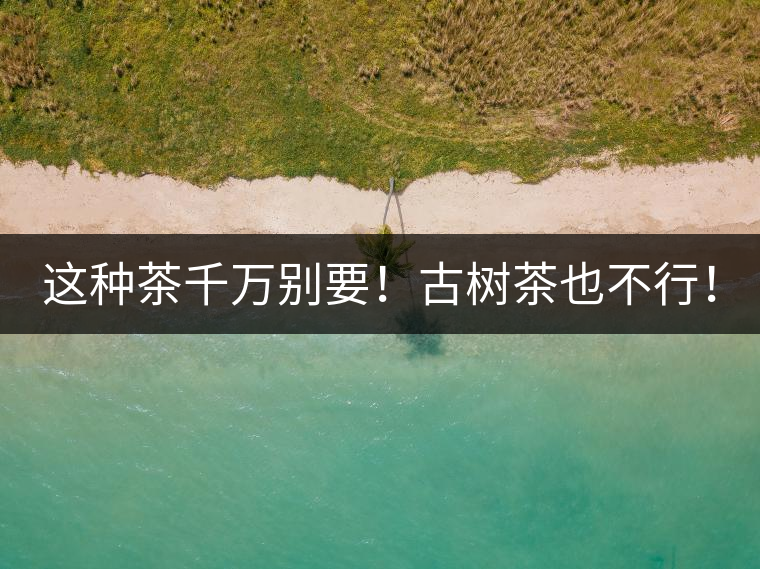 這種茶千萬別要！古樹茶也不行！
