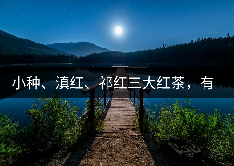 小種、滇紅、祁紅三大紅茶，有何區(qū)別
