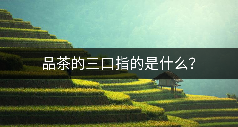 品茶的三口指的是什么？