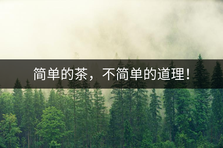 簡單的茶，不簡單的道理！