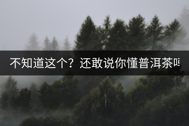 不知道這個？還敢說你懂普洱茶嗎？