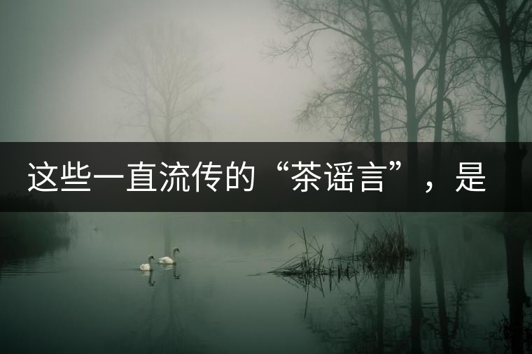 這些一直流傳的“茶謠言”，是時候知道真相了