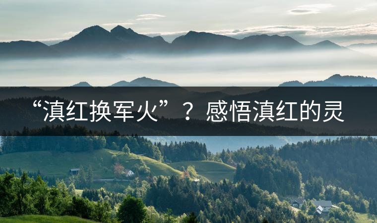 “滇紅換軍火”？感悟滇紅的靈與性！