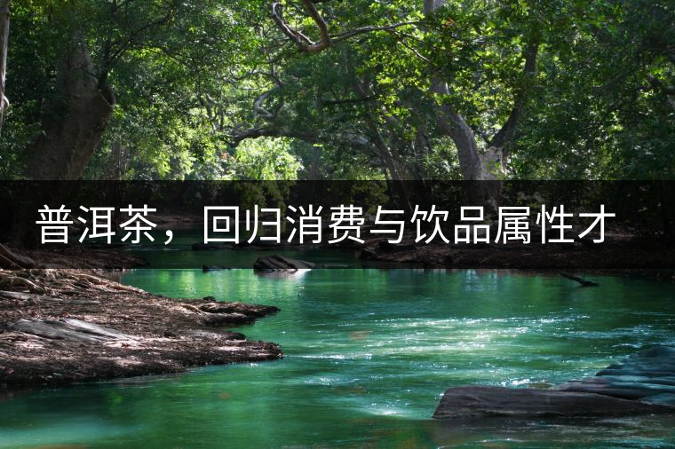 普洱茶，回歸消費與飲品屬性才是正途