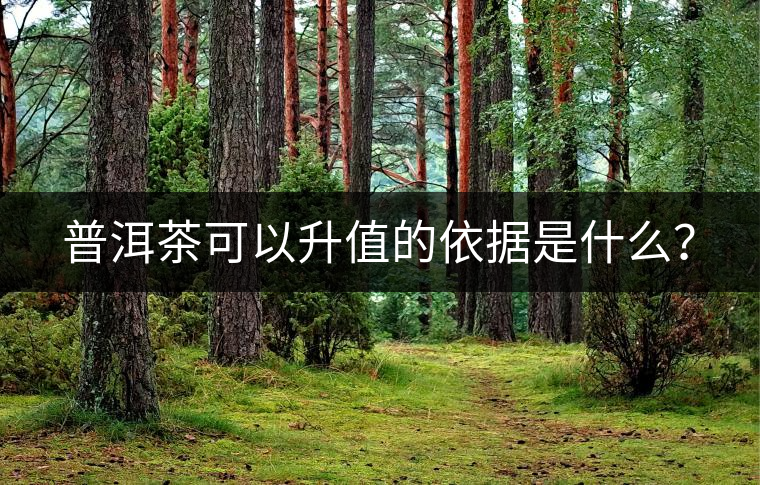 普洱茶可以升值的依據(jù)是什么？