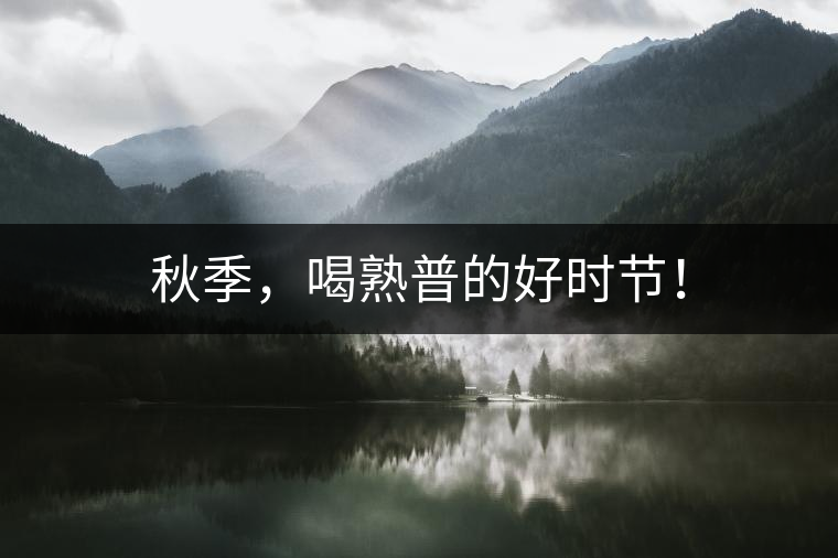 秋季，喝熟普的好時(shí)節(jié)！