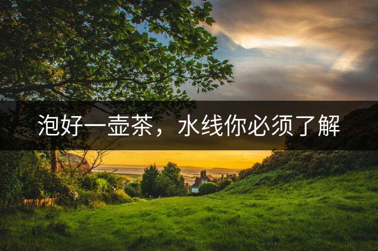 泡好一壺茶，水線你必須了解
