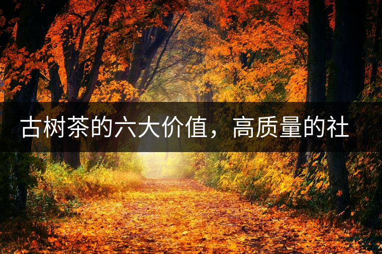 古樹茶的六大價(jià)值，高質(zhì)量的社交都離不開古樹茶