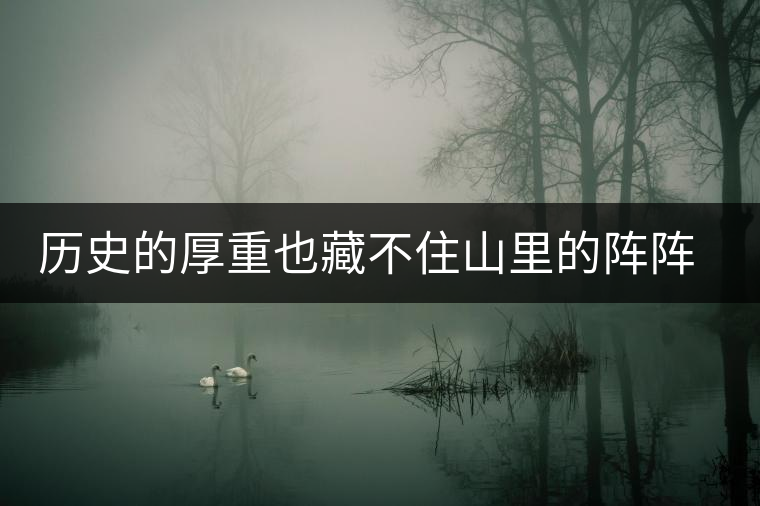 歷史的厚重也藏不住山里的陣陣茶香——攸樂(lè)古樹(shù)普洱 歷史的厚重也藏不住山里的陣陣茶香——攸樂(lè)古樹(shù)普洱