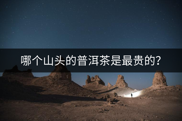 哪個山頭的普洱茶是最貴的？