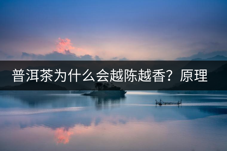 普洱茶為什么會(huì)越陳越香？原理是什么？