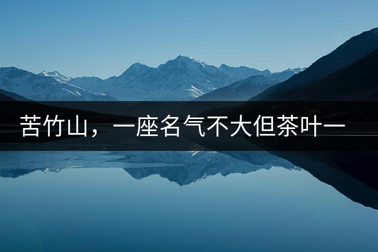 苦竹山，一座名氣不大但茶葉一流的古茶山