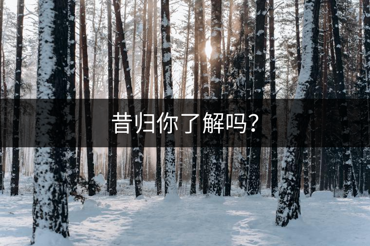 昔歸你了解嗎？
