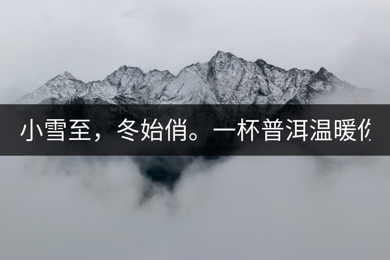 小雪至，冬始俏。一杯普洱溫暖你的冬天！