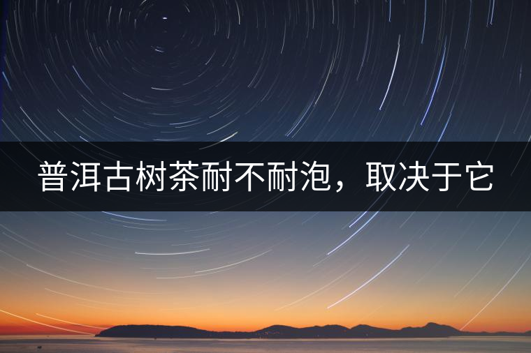 普洱古樹茶耐不耐泡，取決于它