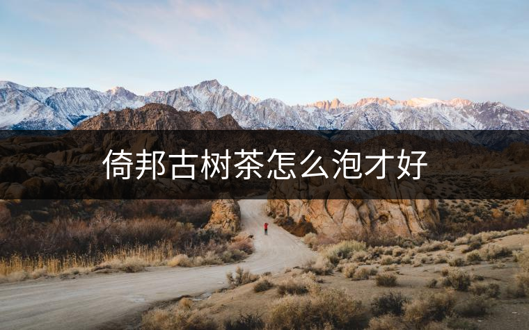 倚邦古樹茶怎么泡才好