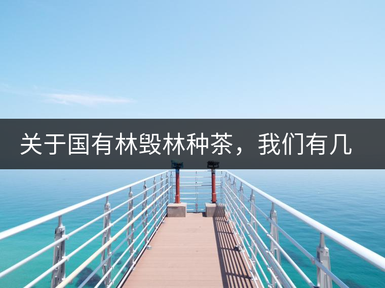 關于國有林毀林種茶，我們有幾點不得不說