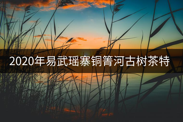 2020年易武瑤寨銅箐河古樹茶特點