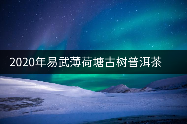 2020年易武薄荷塘古樹普洱茶特點(diǎn)，價(jià)格又上漲了嗎？