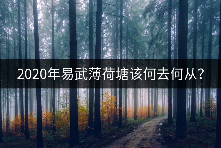 2020年易武薄荷塘該何去何從？