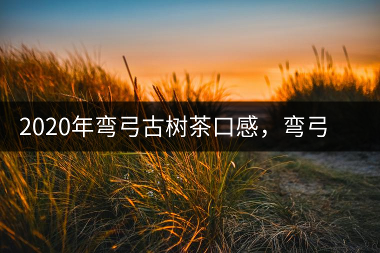 2020年彎弓古樹茶口感，彎弓普洱茶價(jià)格特點(diǎn)