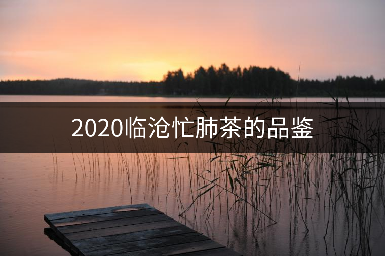 2020臨滄忙肺茶的品鑒