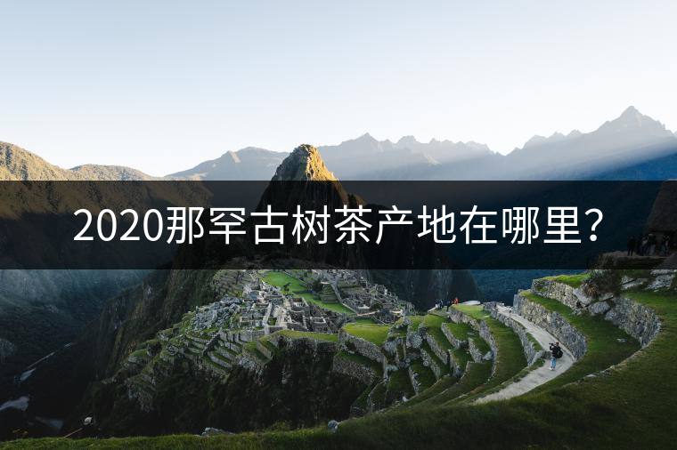 2020那罕古樹茶產(chǎn)地在哪里？