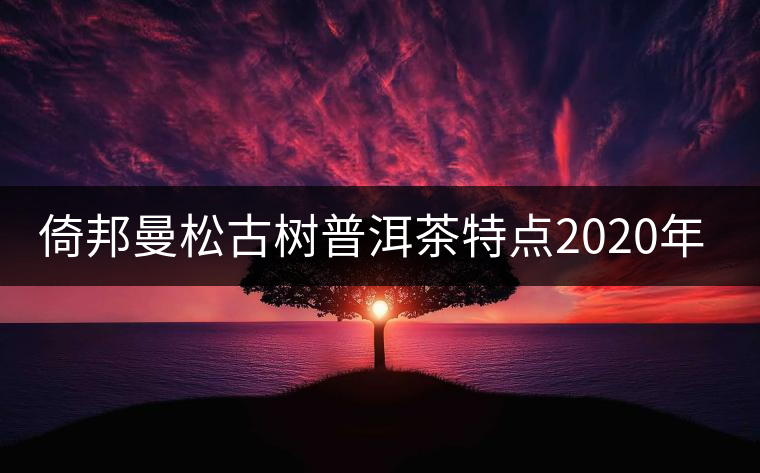 倚邦曼松古樹(shù)普洱茶特點(diǎn)2020年春茶價(jià)格 倚邦曼松古樹(shù)普洱茶特點(diǎn)2020年春茶價(jià)格