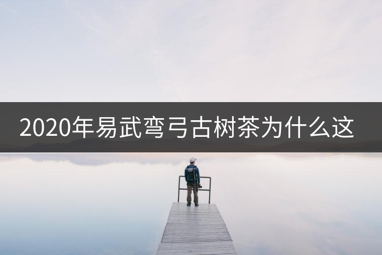 2020年易武彎弓古樹茶為什么這么貴？