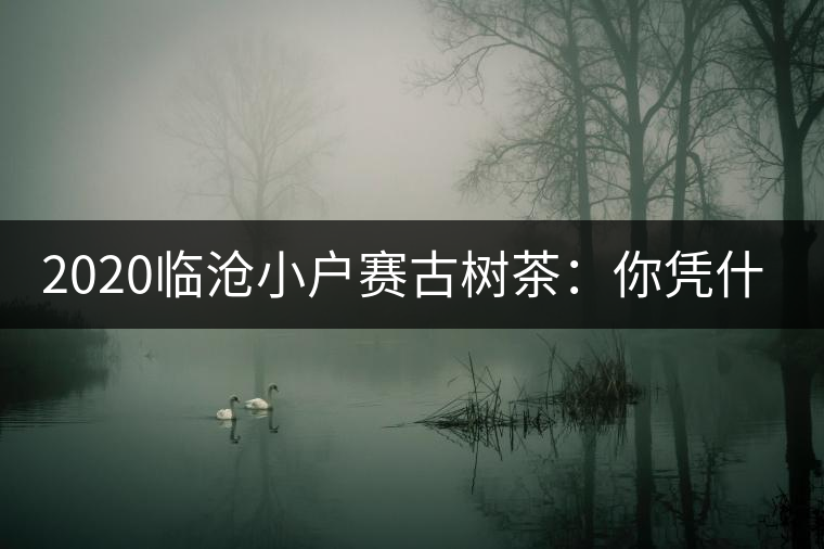 2020臨滄小戶賽古樹茶：你憑什么當(dāng)冰島賣？