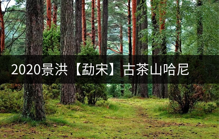 2020景洪【勐宋】古茶山哈尼年“嘎湯帕”圓滿結(jié)束，我們明年見