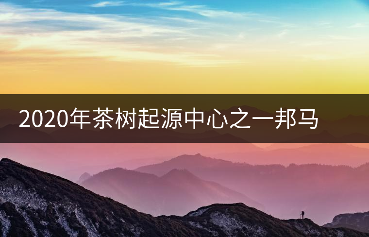 2020年茶樹起源中心之一邦馬大雪山上有哪些神秘的村寨？