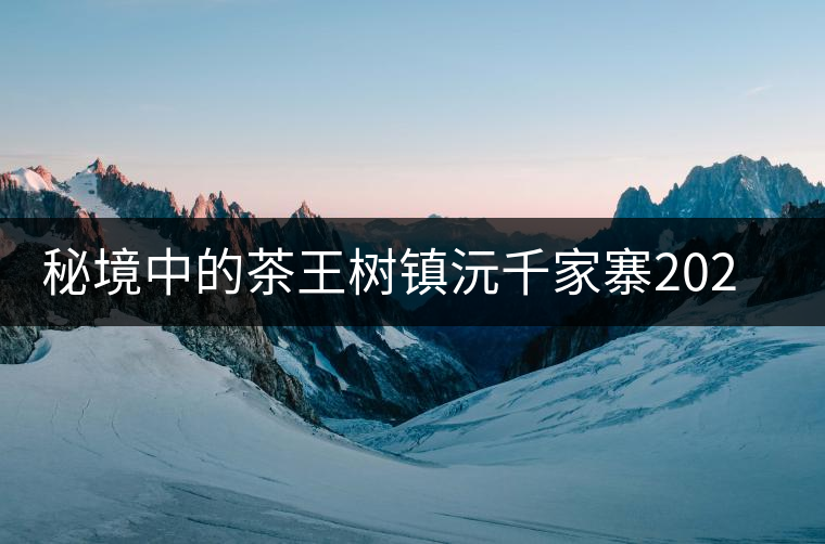 秘境中的茶王樹(shù)鎮(zhèn)沅千家寨2020年普洱茶區(qū)茶山行