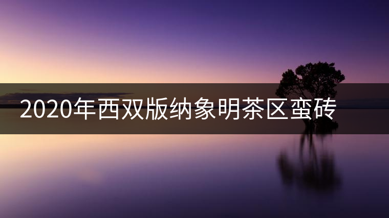 2020年西雙版納象明茶區(qū)蠻磚古茶山特點(diǎn)介紹