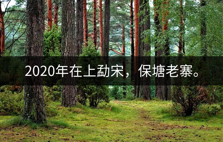 2020年在上勐宋，保塘老寨。