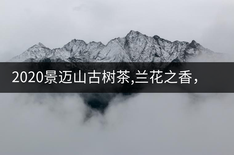 2020景邁山古樹(shù)茶,蘭花之香，自然之味