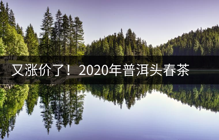 又漲價了！2020年普洱頭春茶同比減產(chǎn)50%，導(dǎo)致微小區(qū)域價格上浮