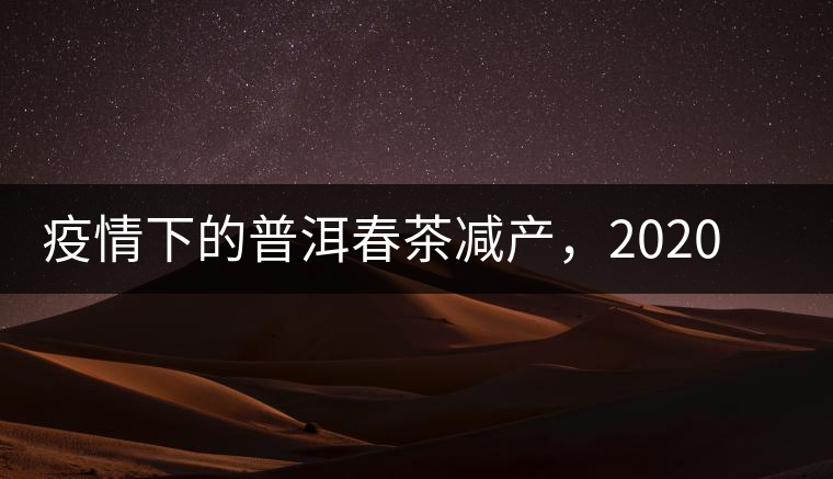 疫情下的普洱春茶減產(chǎn)，2020年價(jià)格“兩極分化”或成常態(tài)？