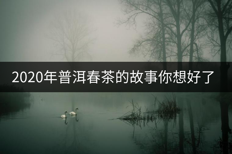 2020年普洱春茶的故事你想好了嗎？