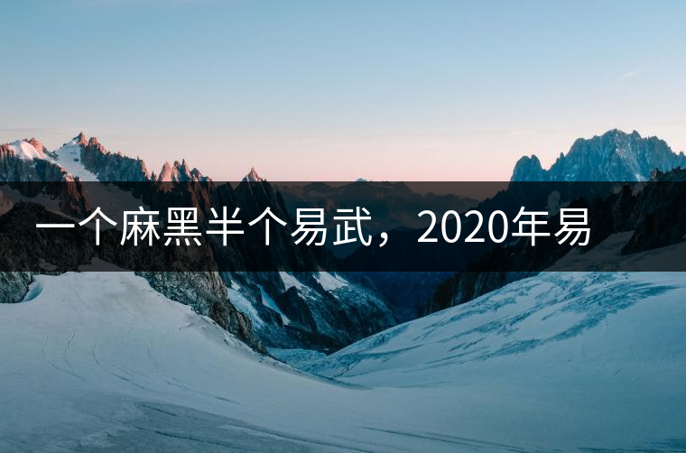 一個(gè)麻黑半個(gè)易武，2020年易武麻黑古樹春茶介紹