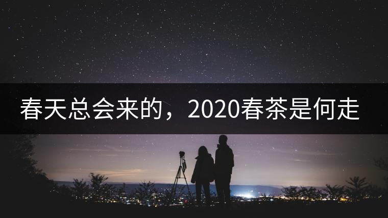 春天總會(huì)來(lái)的，2020春茶是何走勢(shì)？