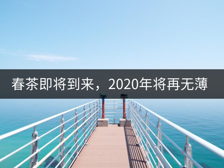 春茶即將到來，2020年將再無薄荷塘？