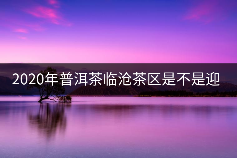 2020年普洱茶臨滄茶區(qū)是不是迎來最好機遇？
