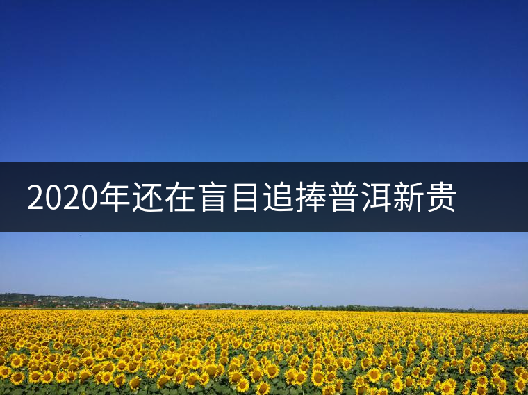 2020年還在盲目追捧普洱新貴“貓耳朵”？我們深入產(chǎn)區(qū)為你揭示最真實的“貓耳朵”！