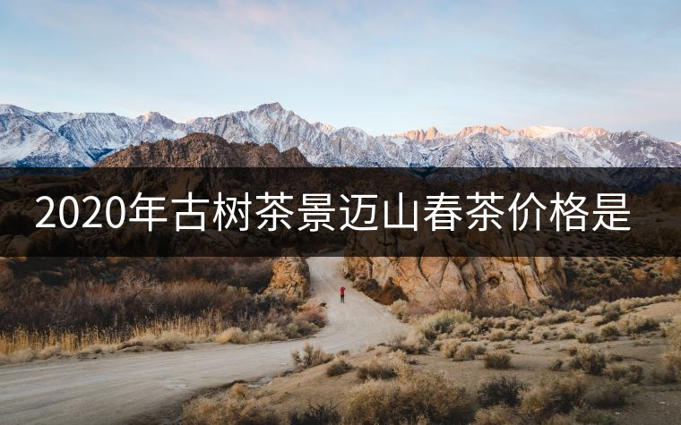 2020年古樹茶景邁山春茶價格是多少？