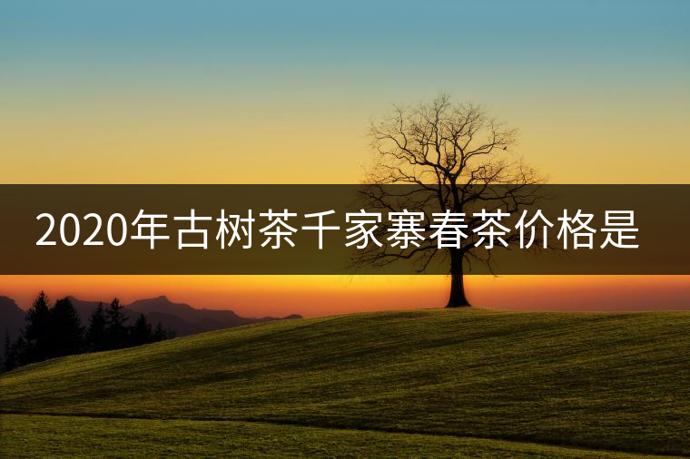 2020年古樹茶千家寨春茶價(jià)格是多少？